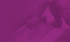 Phase IV: Collective Analysis &  Impact